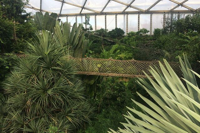 Exkursion zum Gondwanaland