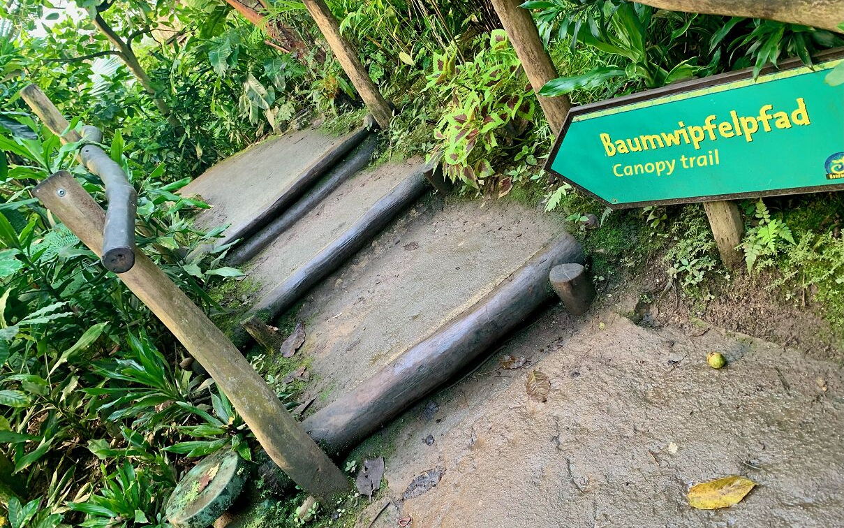 Geo-Exkursion zum Gondwanaland