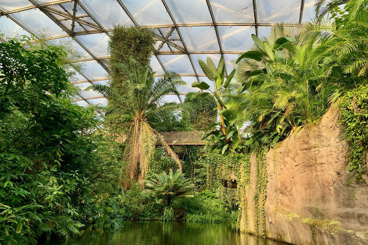 Geo-Exkursion zum Gondwanaland
