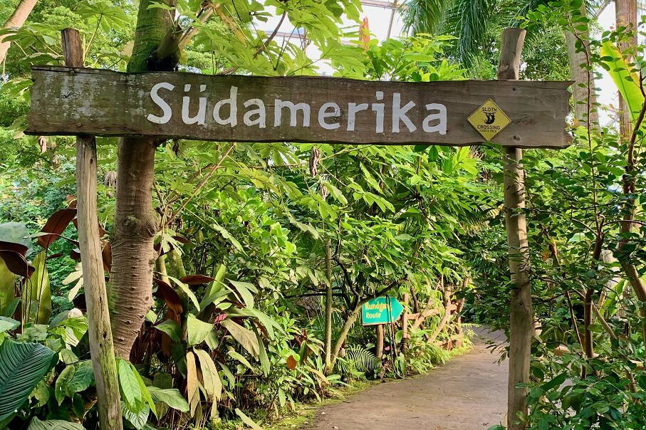 Geo-Exkursion zum Gondwanaland