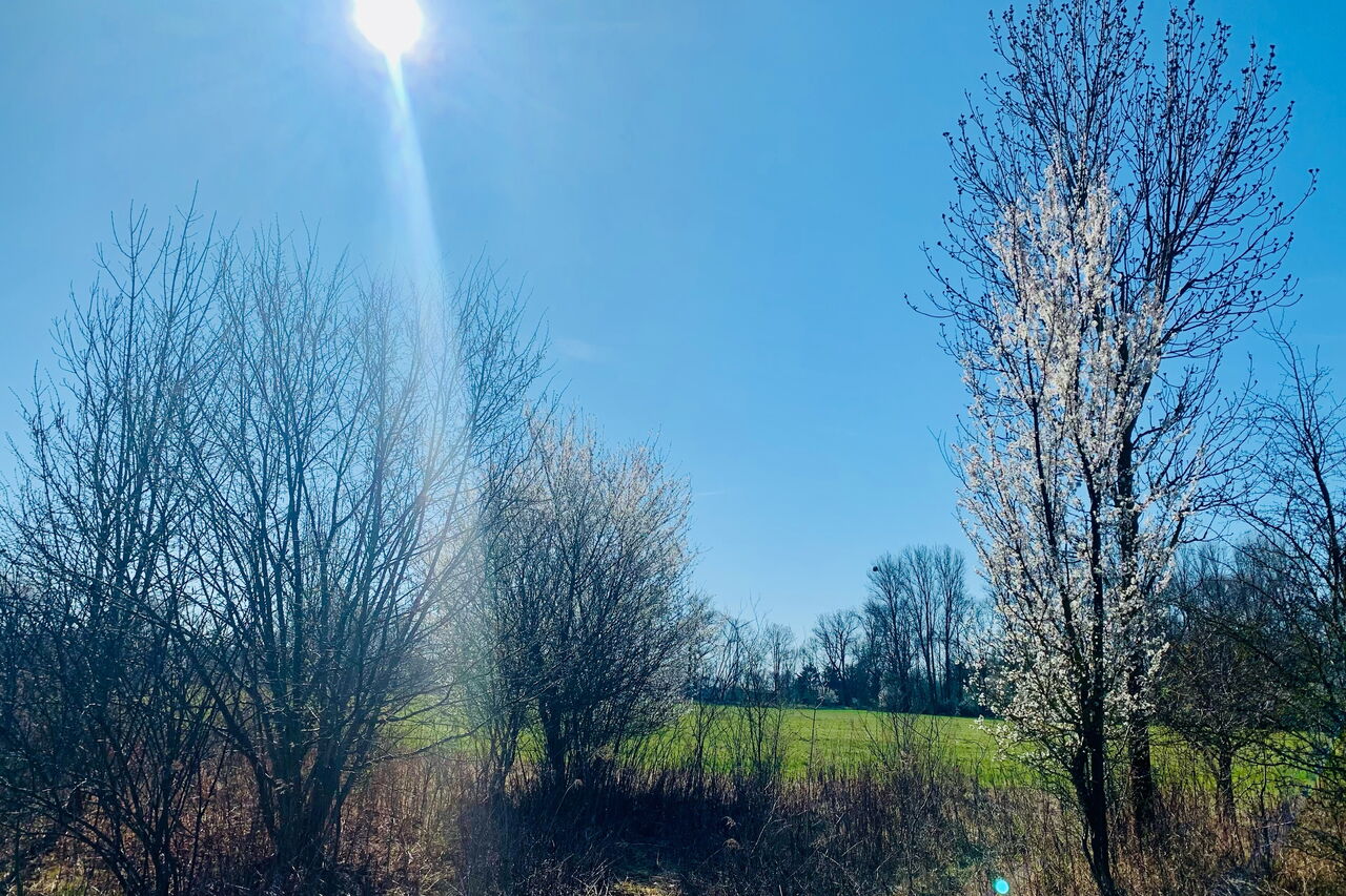 Landwirtschaft in Güsten