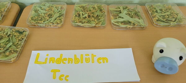 Tag der offenen Tür