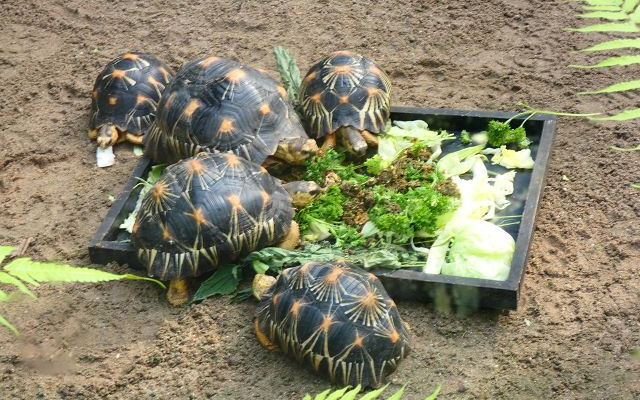 Klasse 9: Exkursion ins Gondwanaland