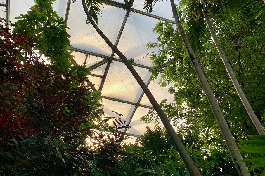 Geo-Exkursion zum Gondwanaland