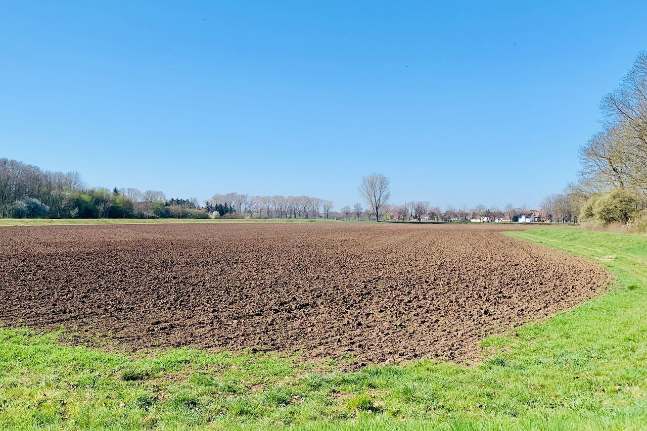 Landwirtschaft in Güsten