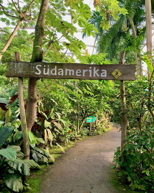Geo-Exkursion zum Gondwanaland