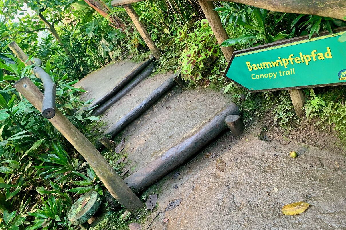 Geo-Exkursion zum Gondwanaland