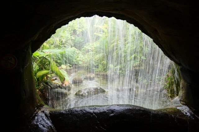 Klasse 9: Exkursion ins Gondwanaland