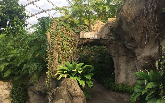 Exkursion zum Gondwanaland