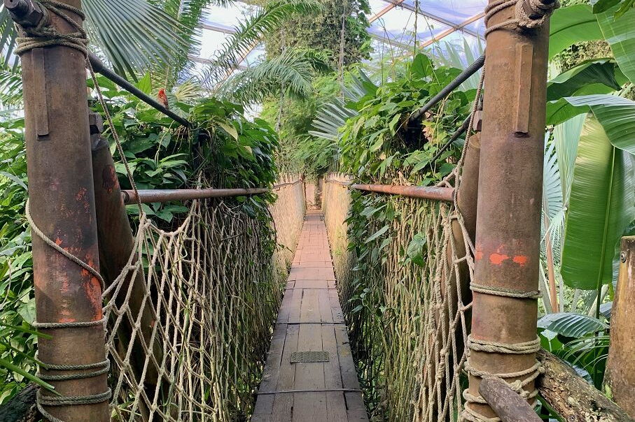 Geo-Exkursion zum Gondwanaland