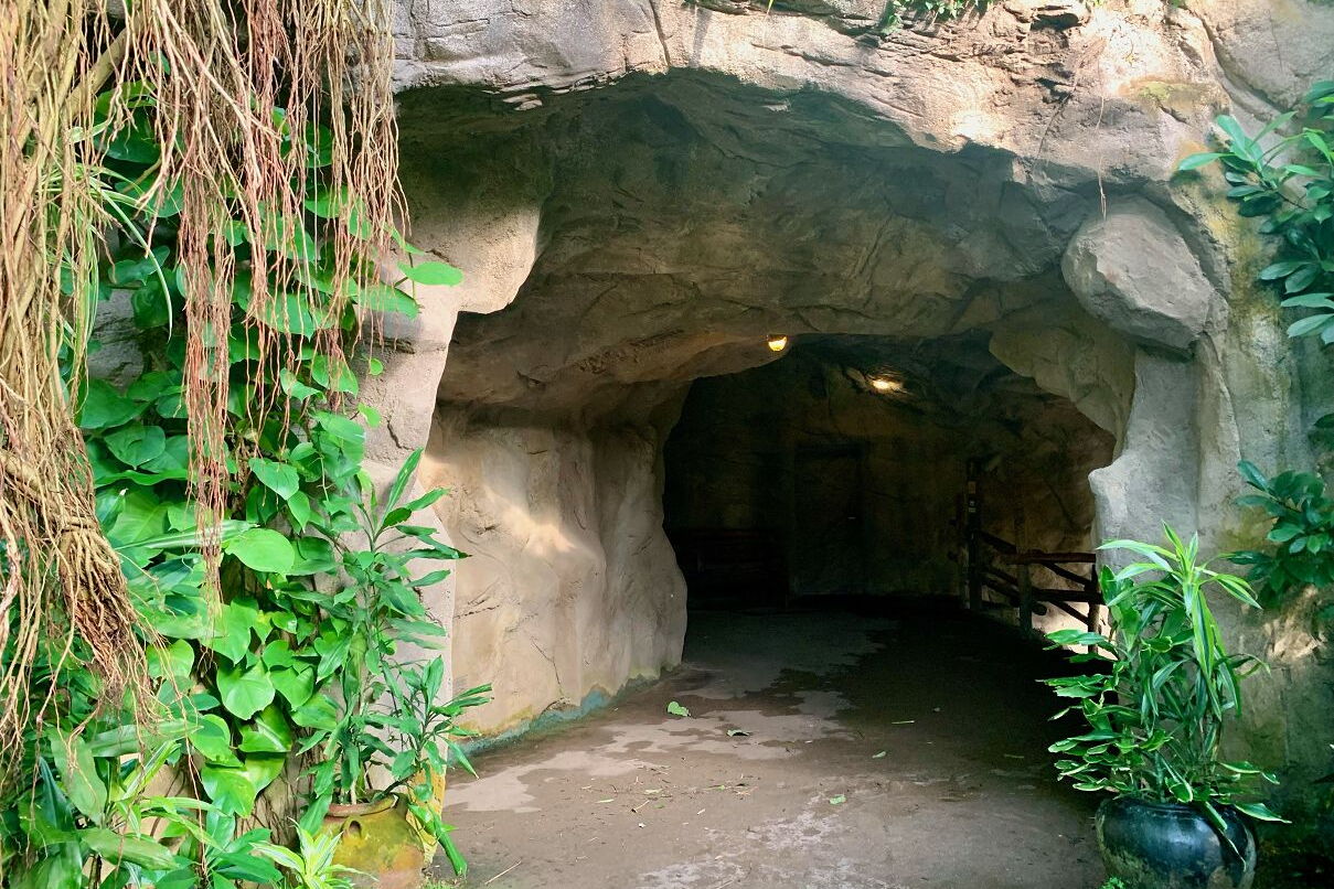 Geo-Exkursion zum Gondwanaland