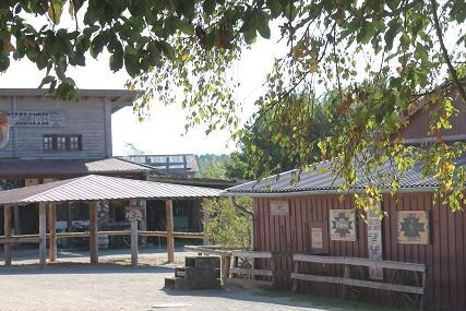 Klassenfahrt zum Hasseröder Ferienpark