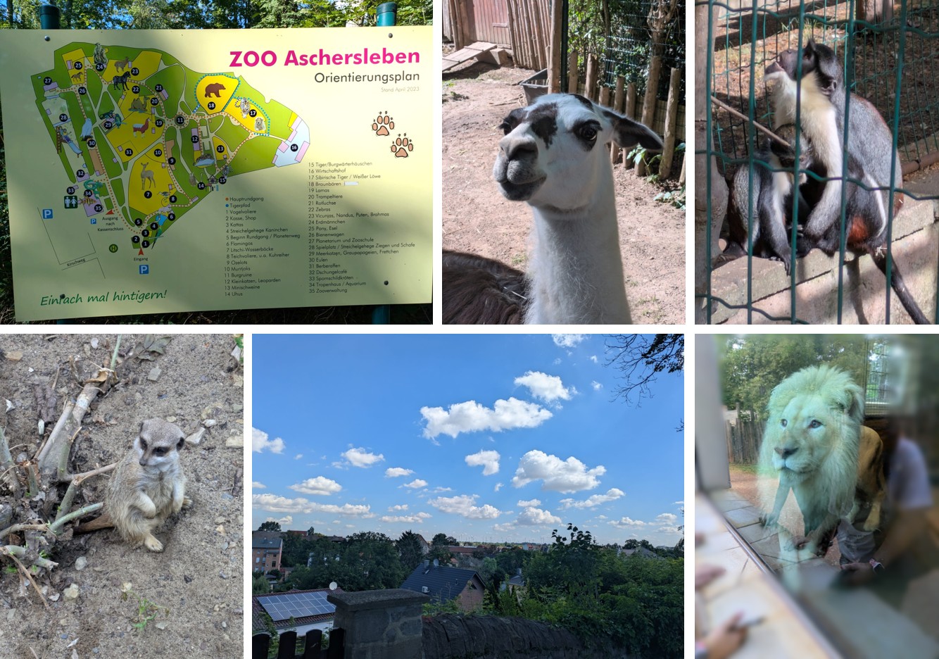 Klasse 6 im Zoo Aschersleben